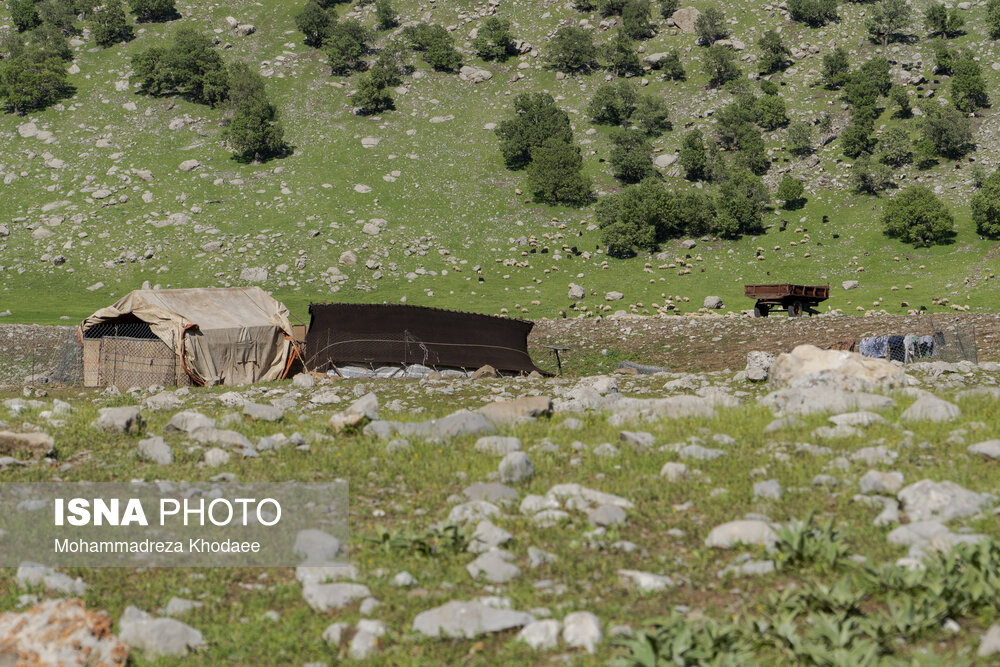 چشمه «کیه‌نی دروزن» در کبیرکوه ایلام؛ چشمه‌ای کارستی با جریان متناوب و نامی برگرفته از باور محلی