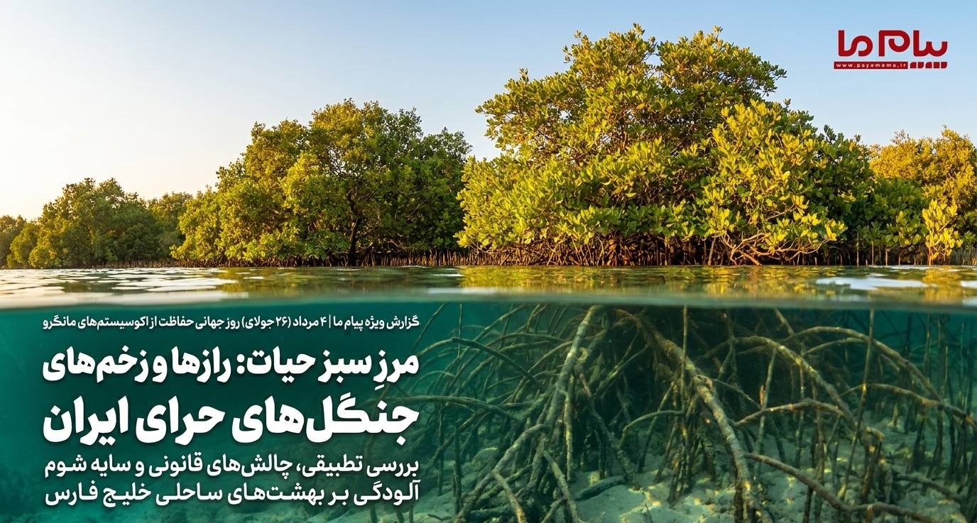 حرا در ایران زیر فشار آلودگی و توسعه ناپایدار ساحلی