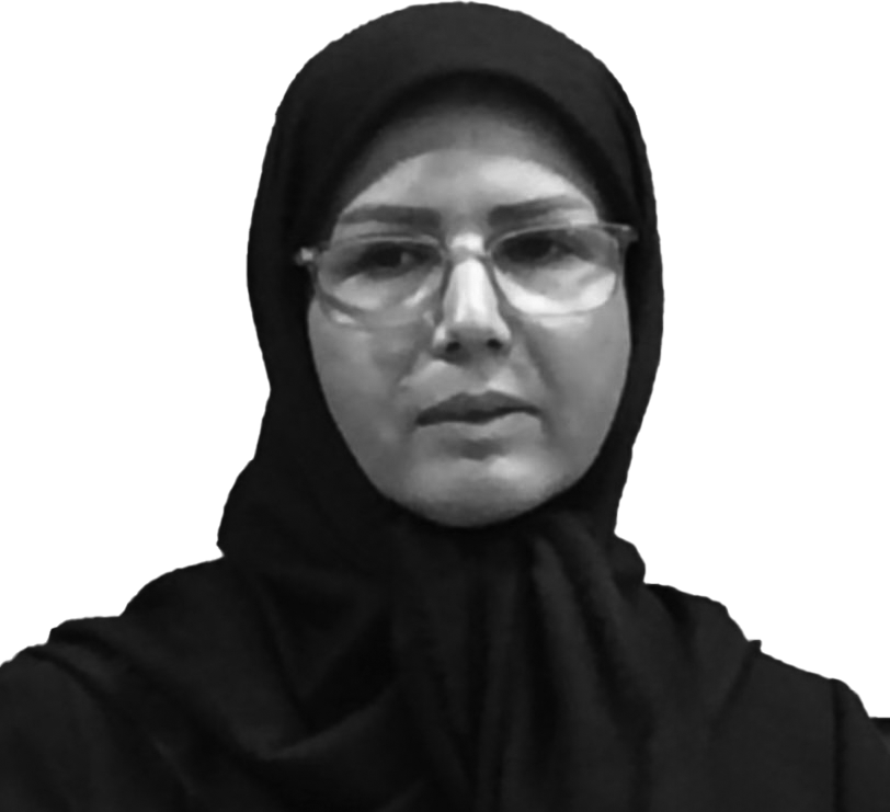بیدا میرحسینی
