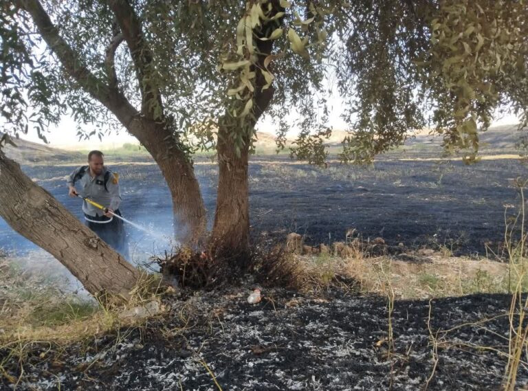 حریق در جنگل‌های دست‌کاشت خسرج خوزستان مهار شد؛ جلوگیری از گسترش آتش در حمیدیه