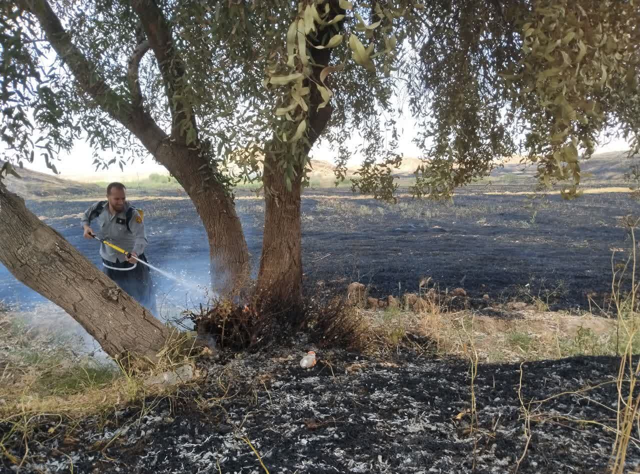 حریق در جنگل‌های دست‌کاشت خسرج خوزستان مهار شد؛ جلوگیری از گسترش آتش در حمیدیه