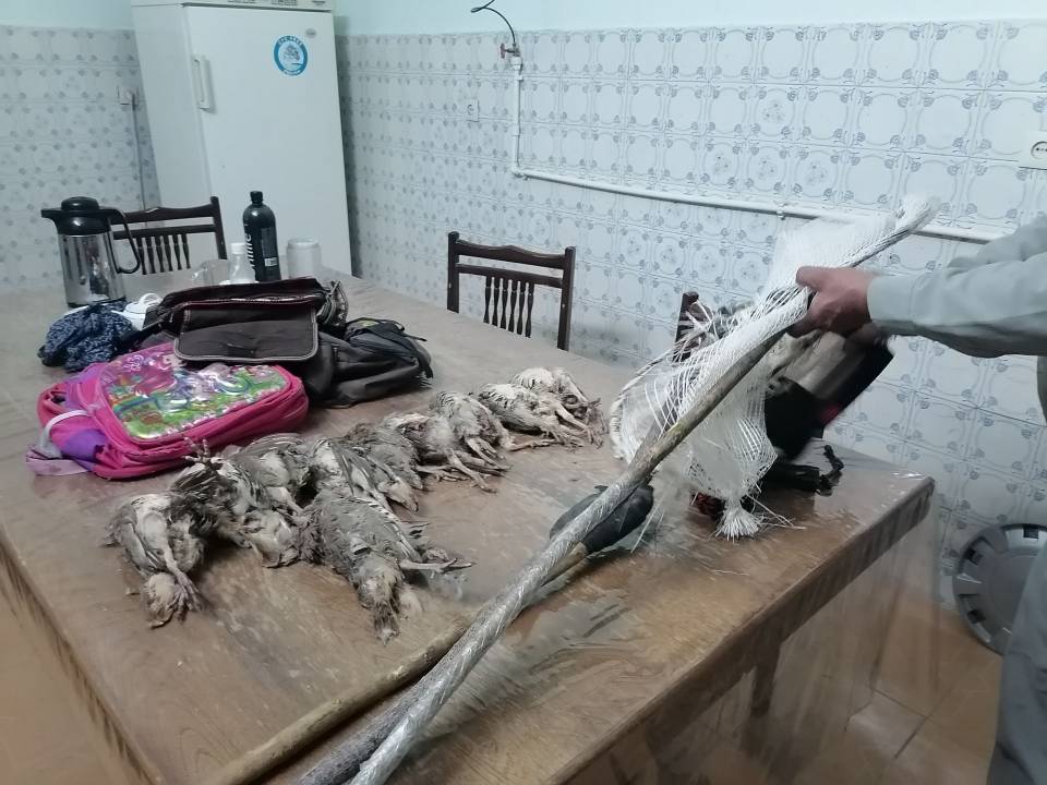 دستگیری ۳ شکارچی غیرمجاز در منطقه شکار ممنوع «قلایی» بافت