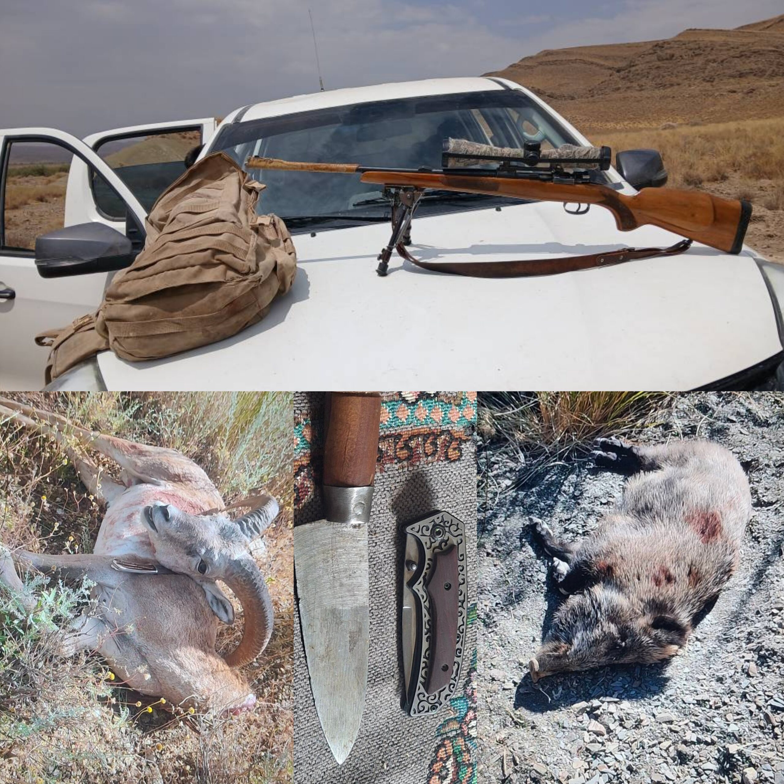 پناهگاه حیات‌وحش