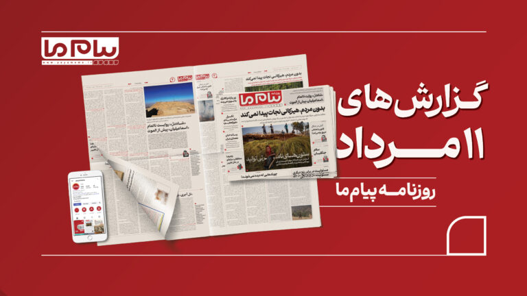 از چالش‌های حفاظتی جنگل‌های هیرکانی تا سهم نادیده زنان در اقتصاد