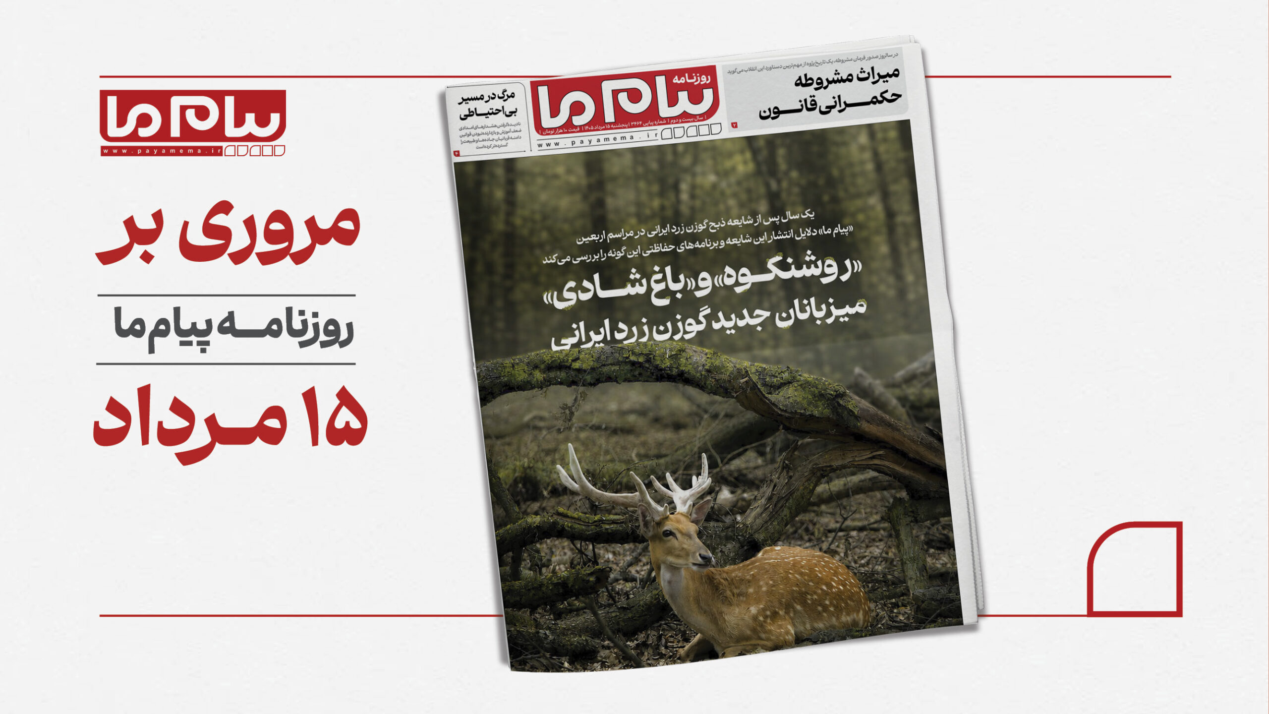 از گوزن زرد ایرانی تا فرونشست آبخوان‌ها