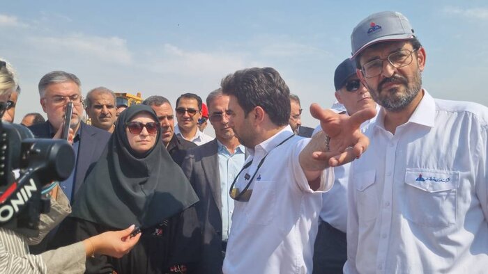 شینا انصاری