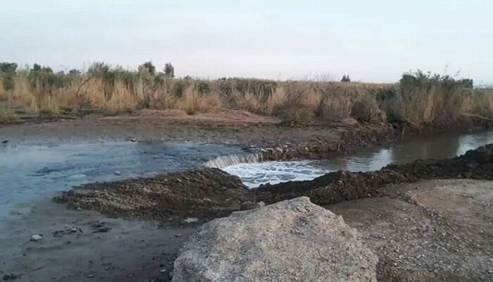 احیای تالاب بندعلی‌خان با حق‌آبه ۲۹ میلیون مترمکعبی؛ راهکاری برای مهار ریزگردها