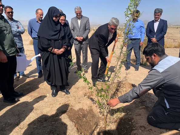 بازدید رئیس سازمان محیط زیست از بزرگ‌ترین پارک جنگلی جنوب شرق کشور در زاهدان