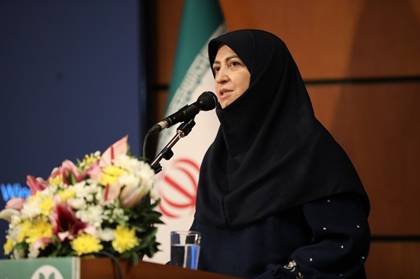 شینا انصاری: صنایع باید از کنترل آلودگی به «مدیریت سبز» تغییر مسیر دهند