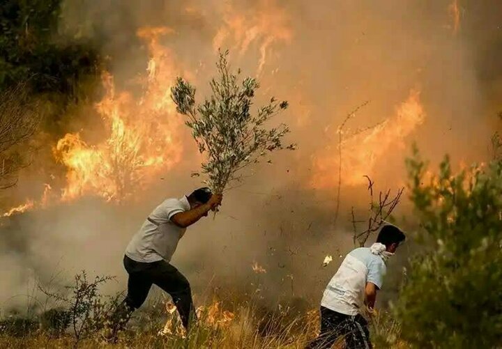شکاف عمیق بودجه و مسئولیت در منابع طبیعی لرستان