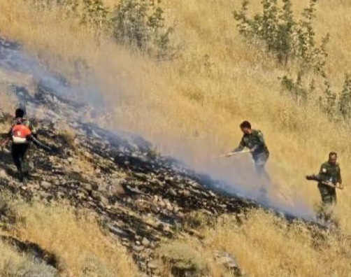آتش‌سوزی اراضی روستای چفتان طارم مهار شد