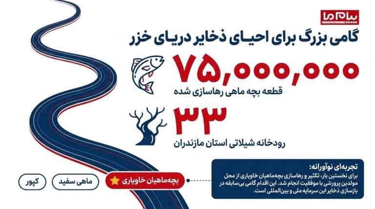 رهاسازی ۷۵ میلیون قطعه ماهی در ۳۳ رودخانه مازندران + اینفوگرافی
