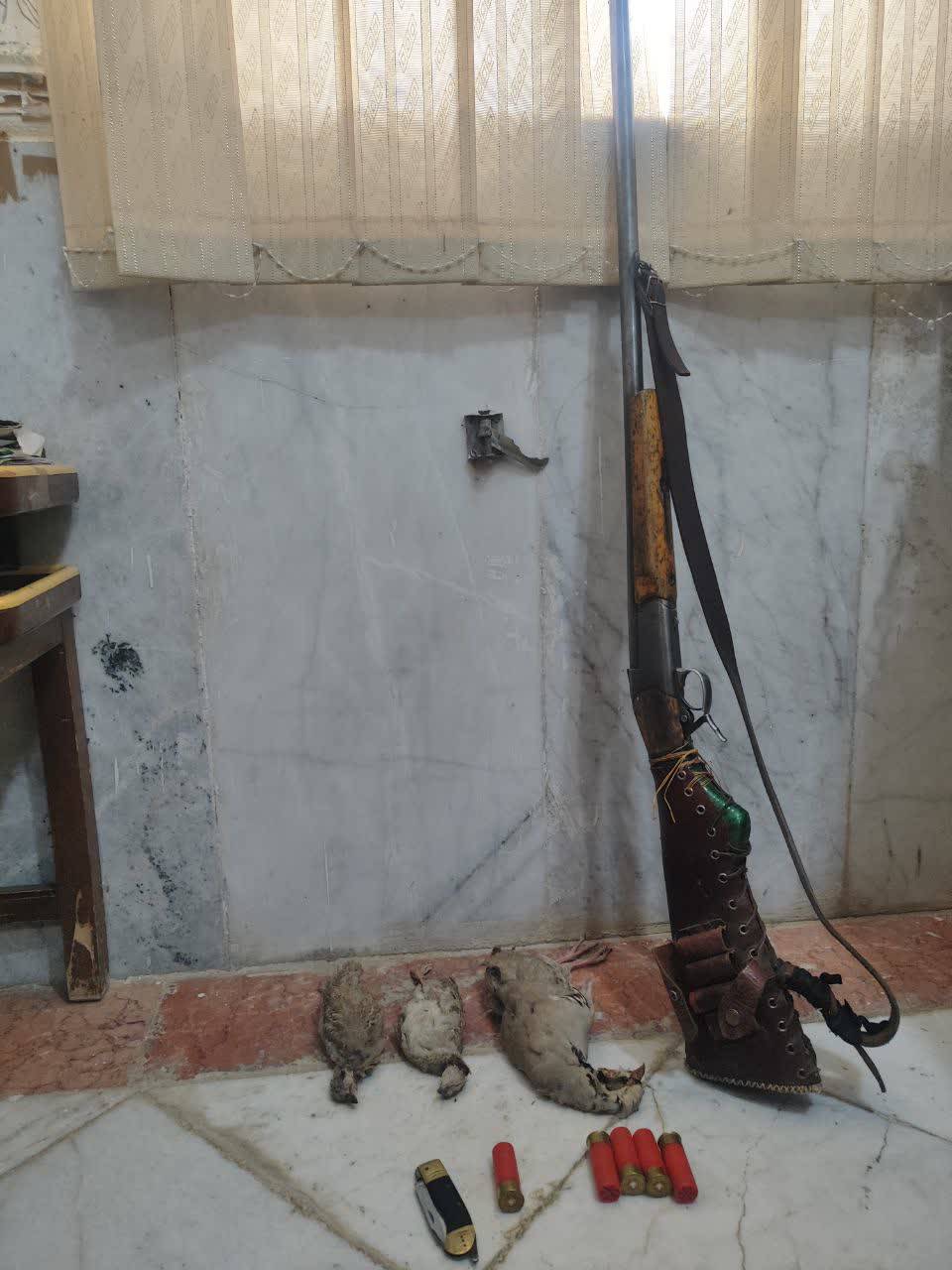 کشف سلاح و لاشه ۳ پرنده حمایت‌شده