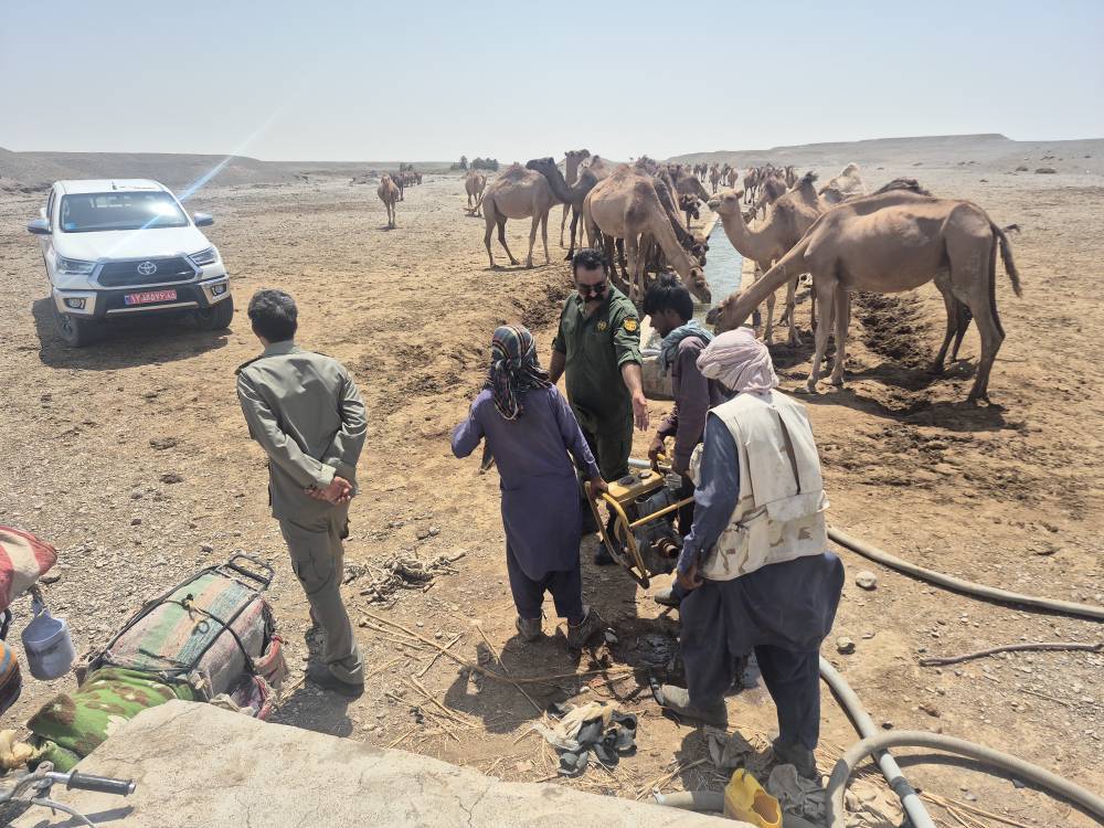 حفاظت از محیط زیست