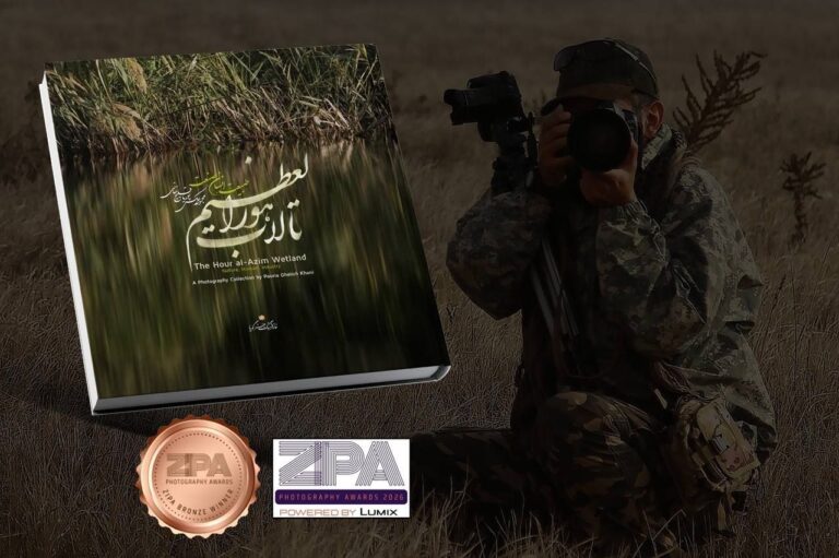 کتاب عکسی درباره هورالعظیم برنده نشان برنز زیپا شد