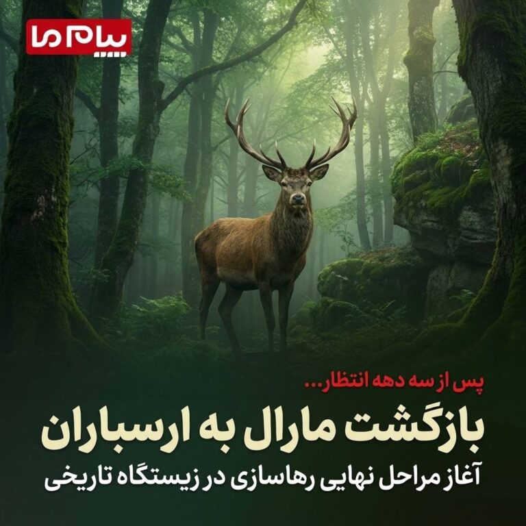 آغاز مراحل نهایی رهاسازی در زیستگاه تاریخی