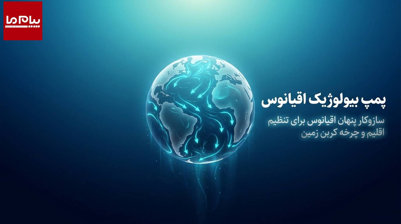 آیا اقیانوس‌ها می‌توانند گرمایش زمین را متوقف کنند؟