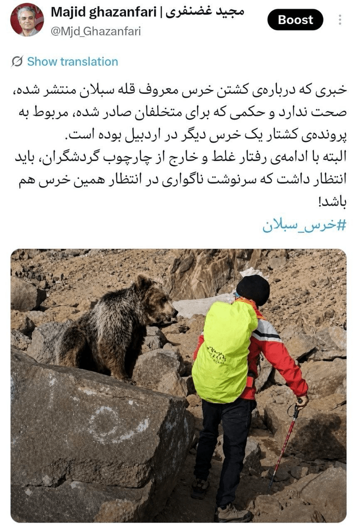 تکذیب خبر کشته‌شدن «خرس سبلان»