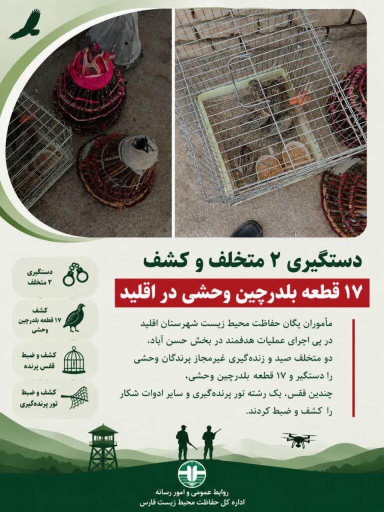دستگیری دو متخلف صید غیرمجاز در اقلید و کشف ۱۷ بلدرچین وحشی