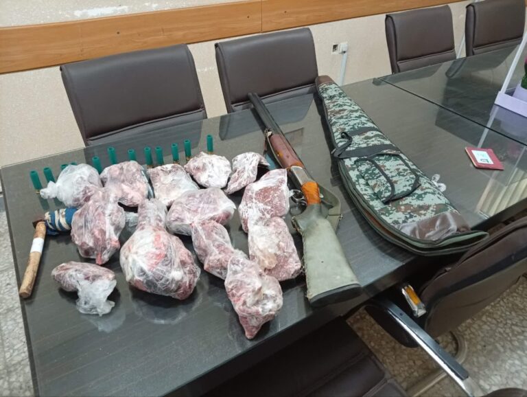 کشف لاشه کل و بز وحشی از مخفیگاه شکارچی متخلف