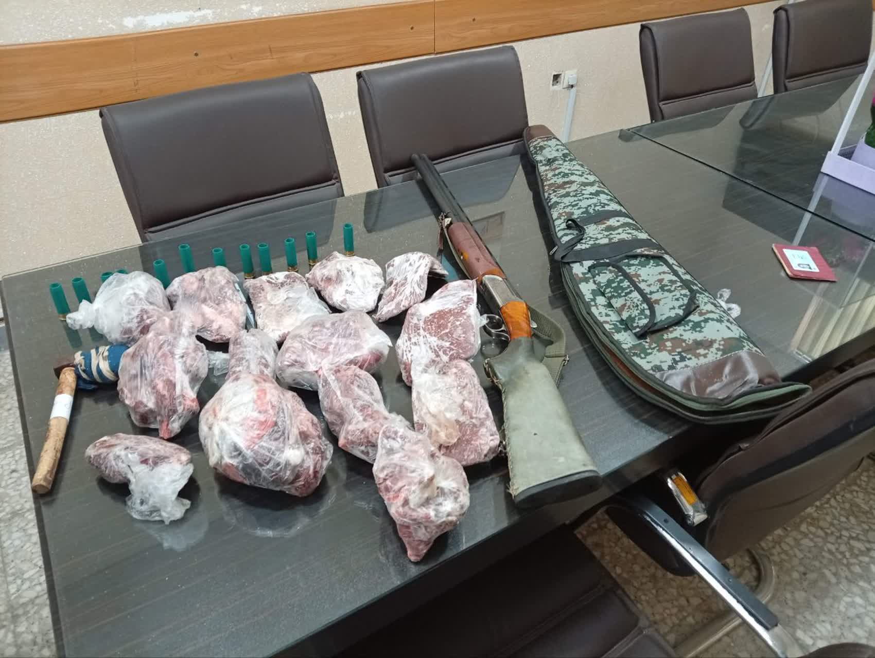 کشف لاشه کل و بز وحشی از مخفیگاه شکارچی متخلف