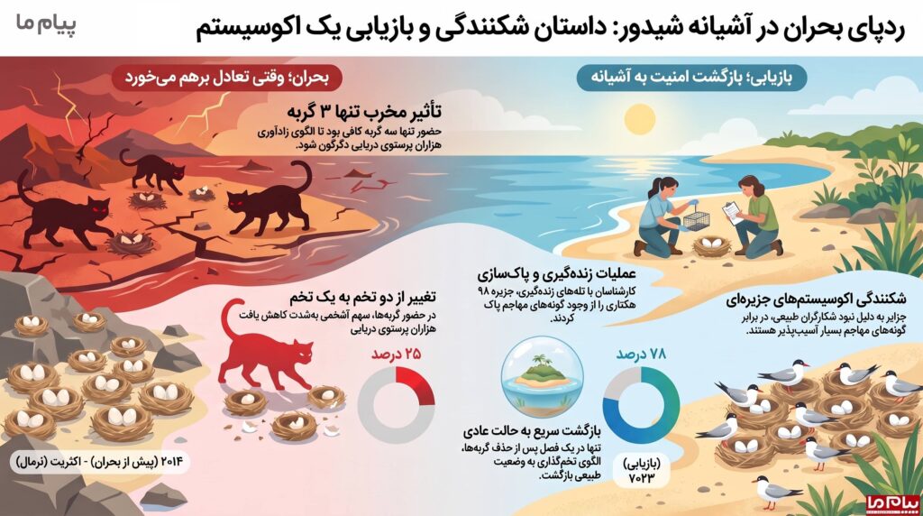 بازیابی_اکوسیستم_در_جزیره_شیدور_compressed