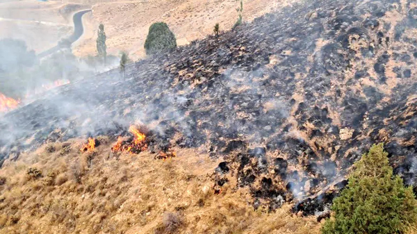 آتش‌سوزی در ارتفاعات پارک ملی بمو مهار شد