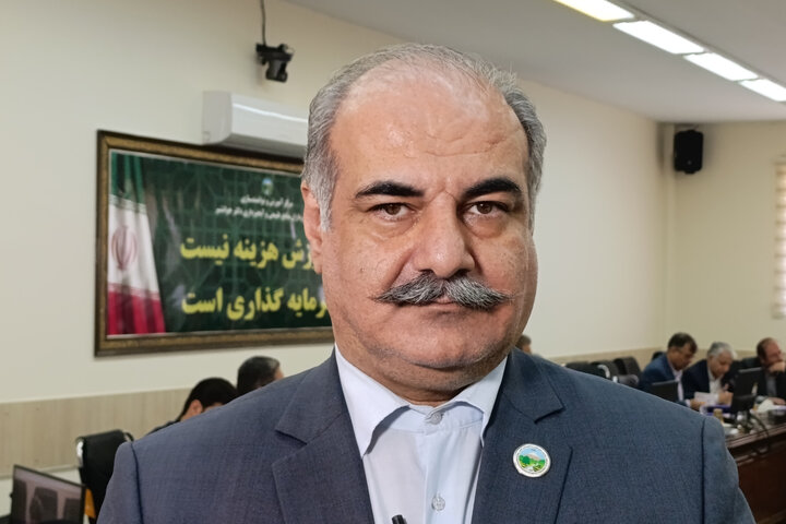 توقف کامل برداشت چوب از جنگل‌های هیرکانی