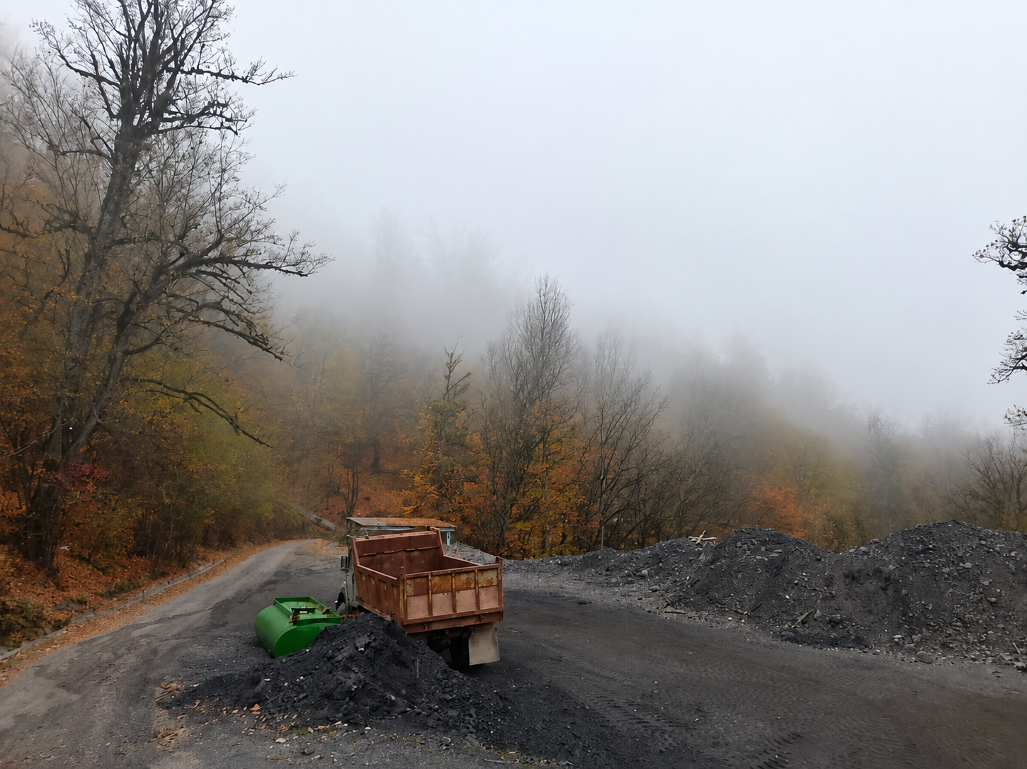 حفاظت دیرهنگام از جنگل‌های «گلندرود»