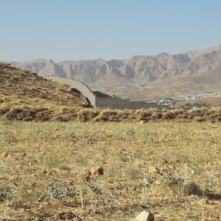 سرخدار در زمیـــــــن غریب