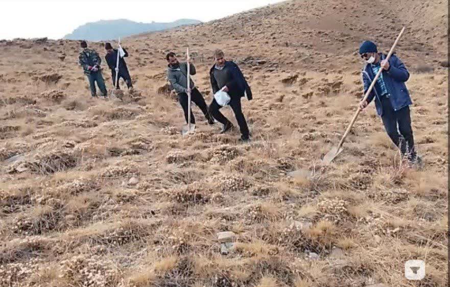راهکار جدید مقابله با گرد و غبار در همدان