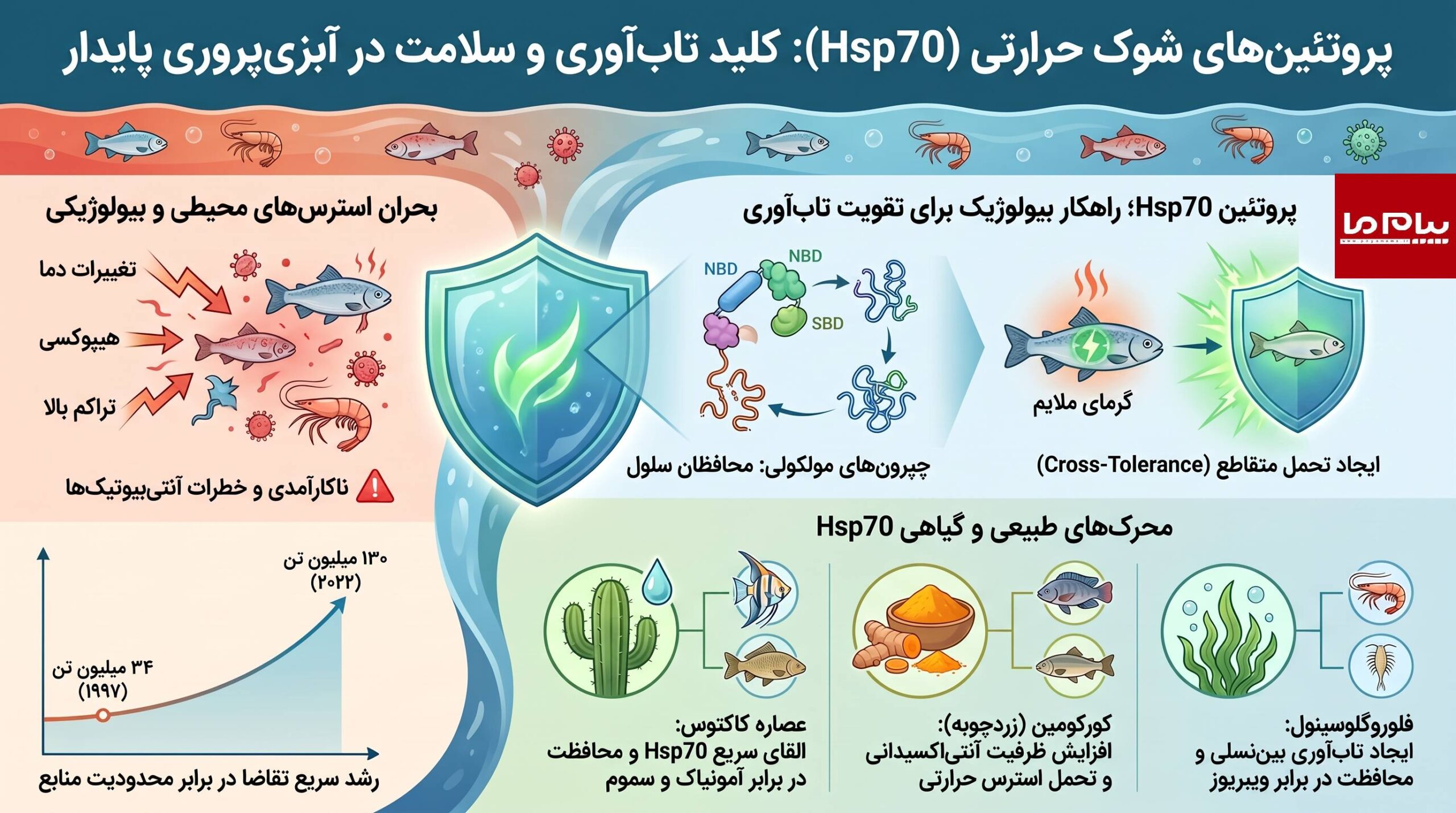پیروگالول؛ ترکیب شیمیایی طبیعی گیاهان که به تهدیدی پنهان برای آبزیان تبدیل شده است