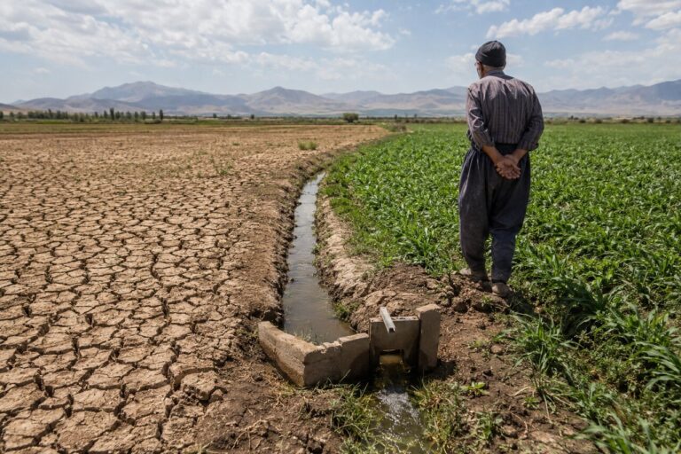 کشاورزی را نمی‌توان  با خطابه به نسل جدید سپرد