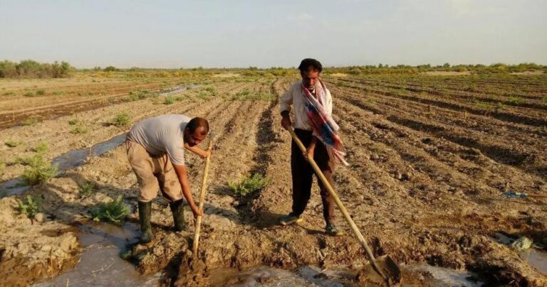 آینـــــده را شخم نزنیــم
