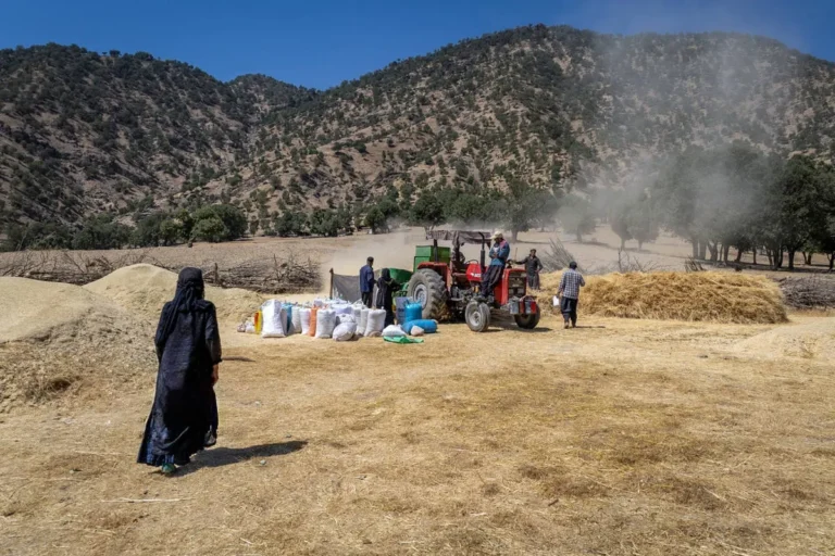 میراث سبزِ دانش سنتی برای نسل نو