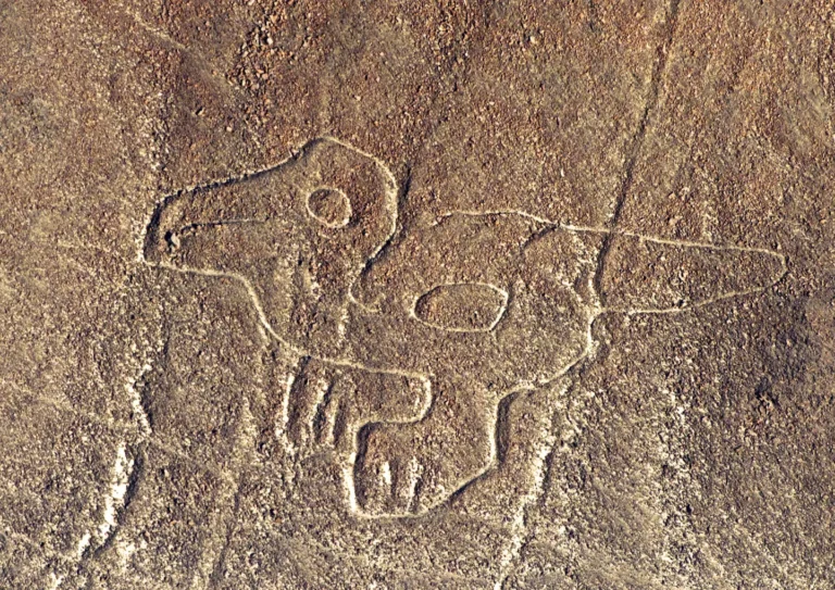 آخرین قاب  از سرزمین «آند»