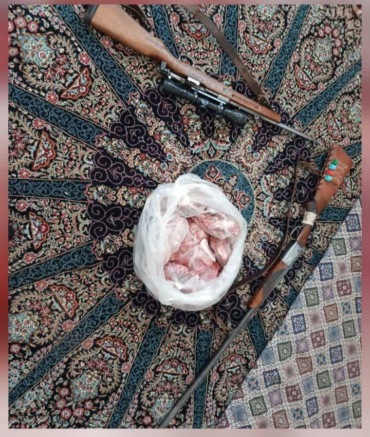 دستگیری شکارچیان غیرمجاز در منطقه حفاظت‌شده جوپار کرمان