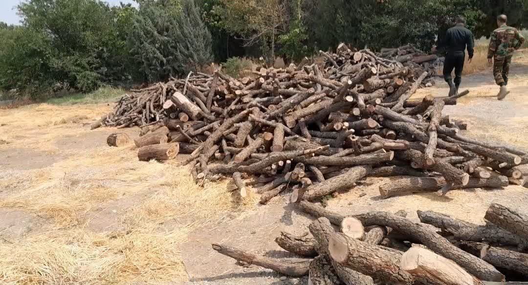 کشف ۱۱ تن چوب و زغال قاچاق و انهدام ۳۵ کوره غیرمجاز
