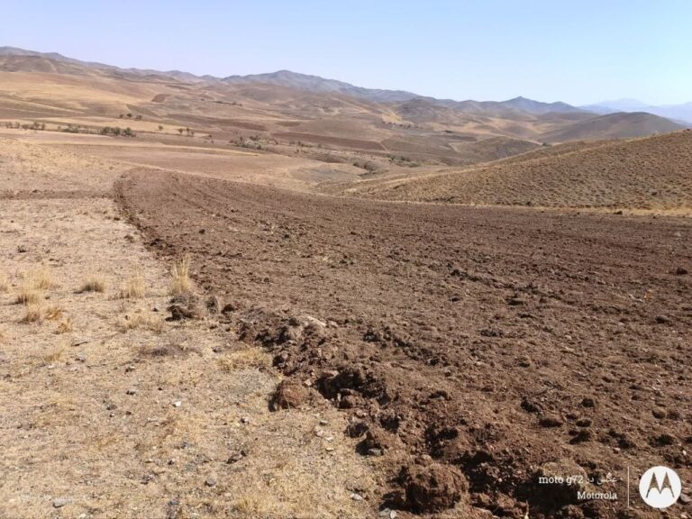 حدود ۱۵ هکتار از اراضی ملی ساوه برای رفع تصرف شناسایی شد