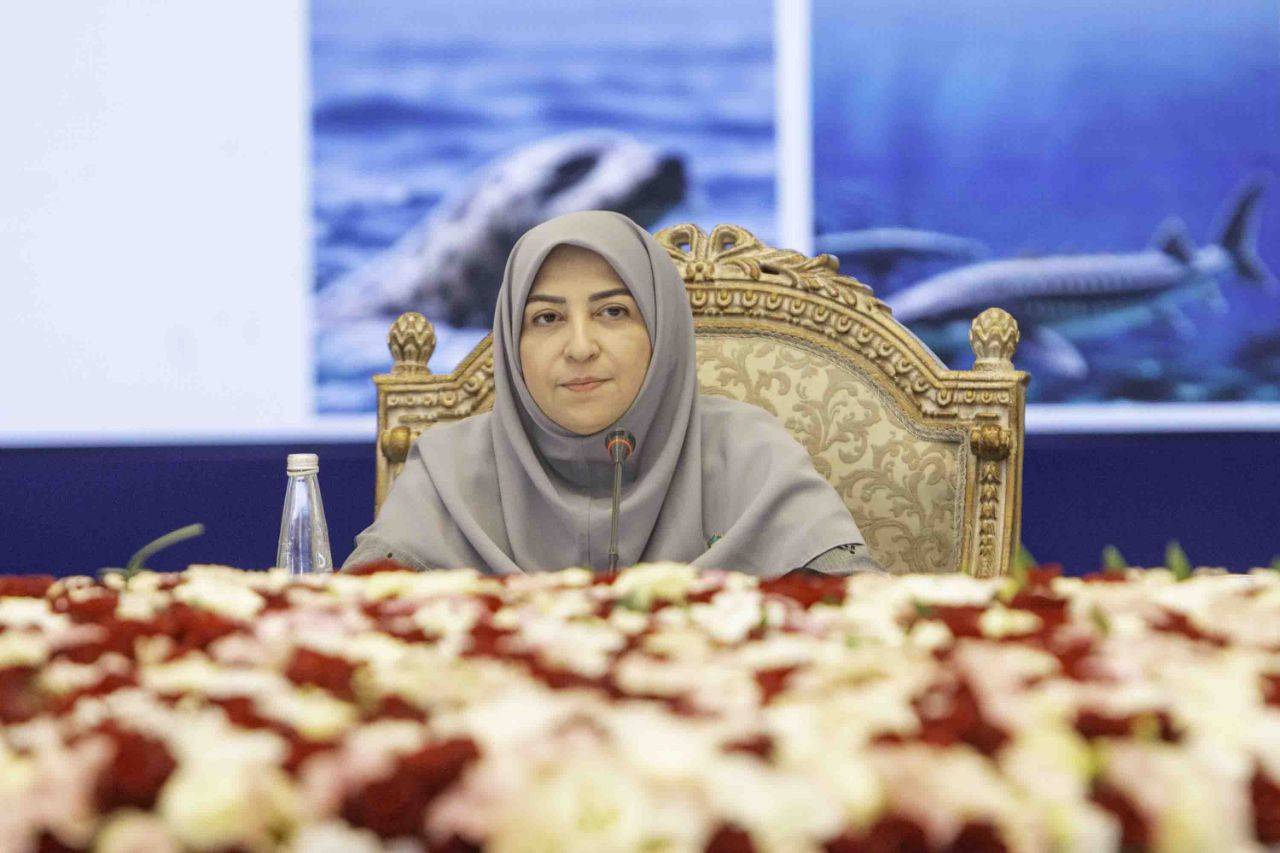 تأکید رئیس سازمان محیط زیست بر ضرورت همکاری پنج کشور برای حفاظت از اکوسیستم خزر