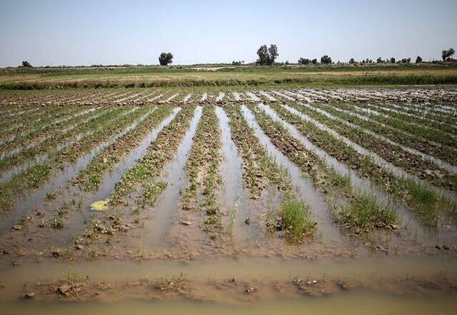 جبران خسارت سیل مزارع بیمه‌شده