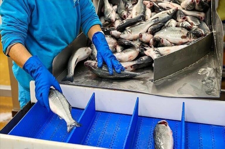 پیشنهاد جهانی ایران برای هماهنگ‌سازی توافق‌های شیلاتی و حفاظت از تنوع زیستی