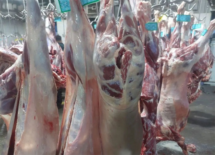 چالش نقدینگی دامداران در نیمه دوم سال؛ لزوم حمایت از تولید داخلی گوشت قرمز