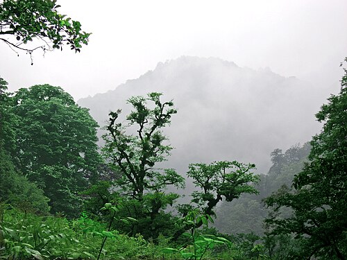 جنگل‌های هیرکانی
