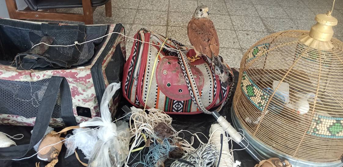 کشف پرندگان غیرمجاز و ادوات شکار در محور خاش-زاهدان