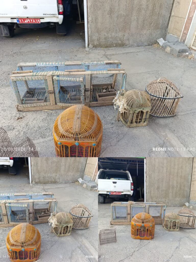 کشف ۳ قطعه کبک وحشی و ادوات زنده‌گیری در روانسر