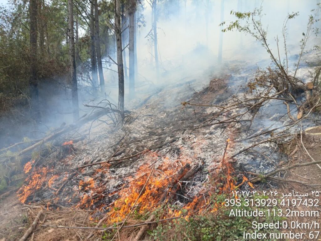 مهار آتشسوزی در اراضی جنگلی منطقه حفاظتشده لیسار