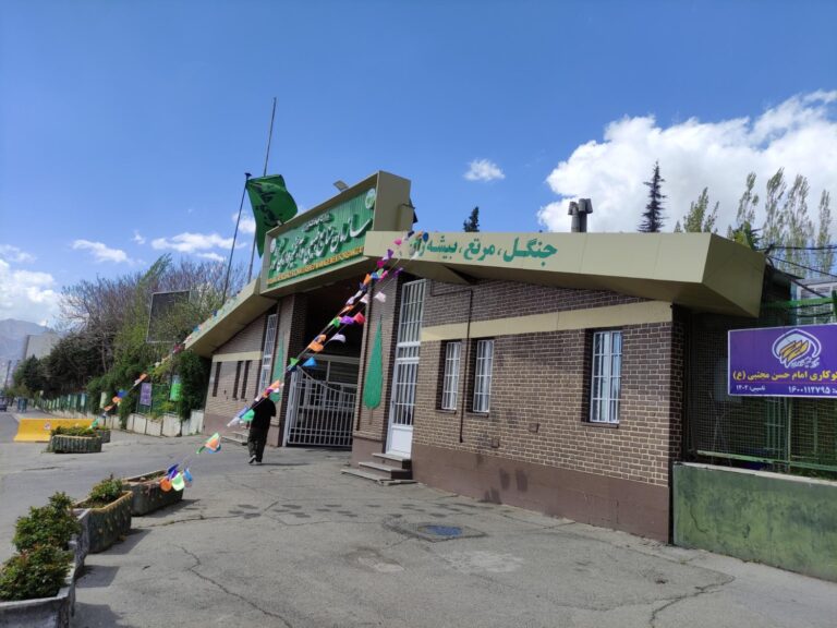 نگاهی به ضرورت انحلال و ادغام ساختار مدیریتی منابع طبیعی کشور