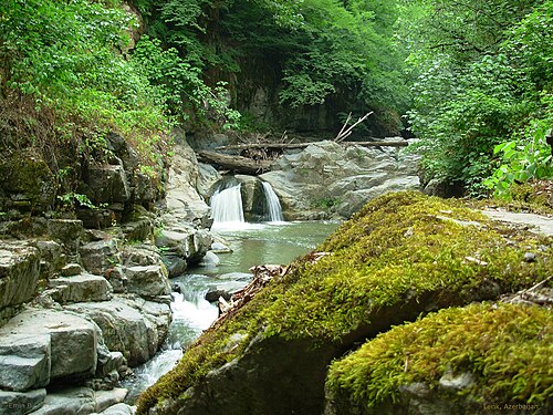 جنگل‌های هیرکانی