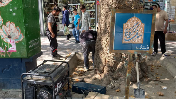 طرح صدور شناسنامه و نصب تابلوهای معرفی درختان کهنسال در همدان